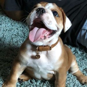 Meet your Posher, Stacia